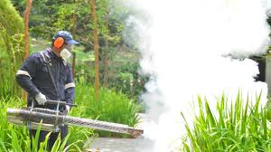 Best Outdoor Pest Control  in Bangor Base, WA